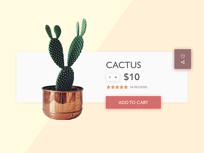 Daily UI Challenge #012: E-Commerce Shop 100 day ui challenge cactus daily ui e commerce shop ui ux web