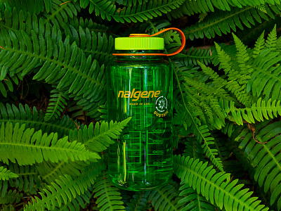 Nalgene Sustain logo and bottle