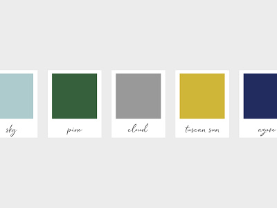 Forge Color Palette brand identity brand identity design branding color palette