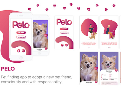 Pelo - Pet Finding App animals app creative design graphic design pets ui