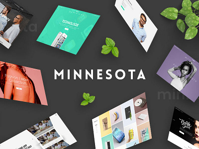 Minnesota agency app blog branding business clean contemporary creative design freelance instagram marketing multipurpose portfolio responsive retail shop startup ui web