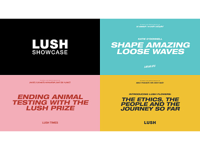 Lush Showcase Holding Slides