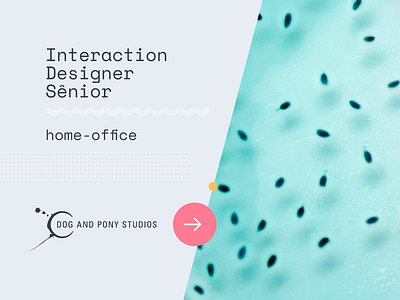 Dog and Pony Studios Interaction Designer