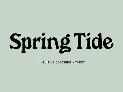 Spring Tide ✨ branding typography