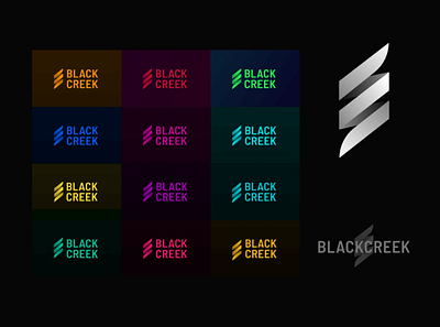 Blackcreek Rebrand agency branding design dna graphic design health icon illustration logo rebrand vector