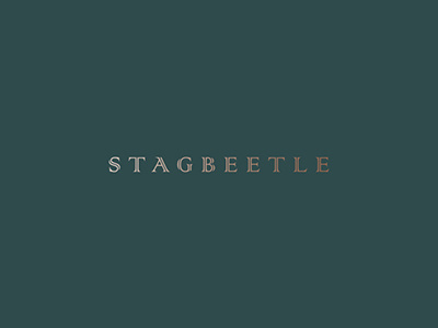 Stagbeetle branding design identity logo