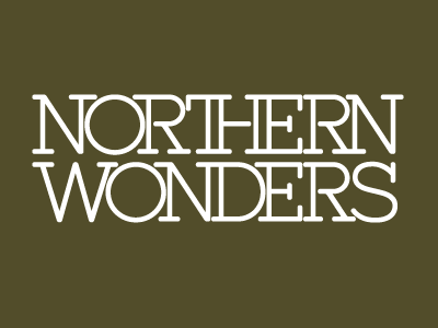 NORTHERN WONDERS brand coffee concept store design logotype minimalism northern wonders tea