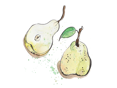 Pears food illustration hand drawn illustration pear pears pen and ink watercolour