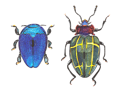 Beetles in watercolour markers