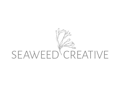 Seaweed Creative Logo brand design branding graphic design hand drawn illustration illustrator logo logo design