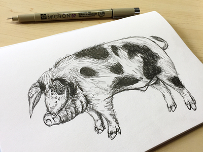 This little piggy went to market branding farm farmers market illustration pen and ink pigs
