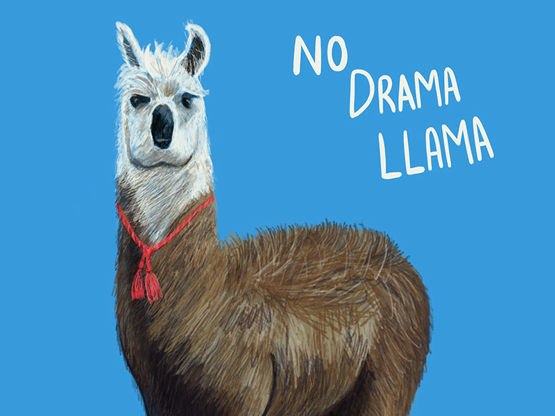 No Drama Llama.