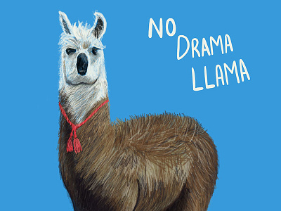 No Drama Llama apple pencil digital art digital painting illustration ipad pro llama no drama llama procreate
