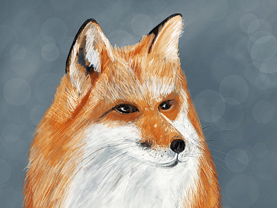 Fox apple pencil digital art digital painting drawing fox illustration ipadpro procreate wildlife