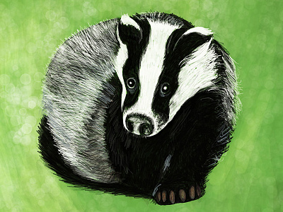 Badger