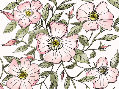 Roses botanicals digital art florals illustration ipad pro packaging procreate surface pattern