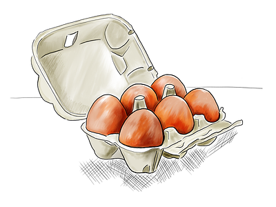 Fresh Eggs breakable drawing food food illustration illustration inktober 2018 procreate
