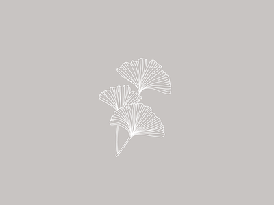 Ginkgo Leaves botanical illustration botanical logo brand identity branding illustration logo design visual identity