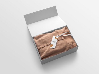 Ladeaz Mockup Preview shirt tshirt box design logo