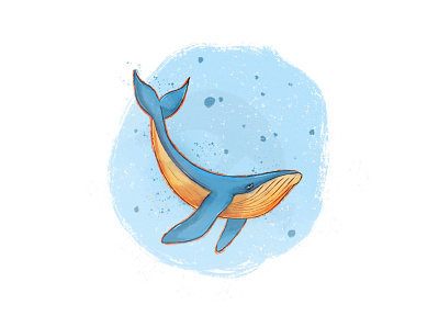 whale animal animal illustration blue blue whale fish ocean sketching whale whales