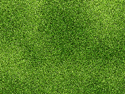 Gras texture texture