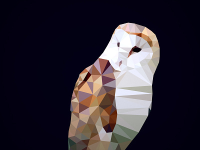 Barn Owl animal geometry illustration nature owl triangles