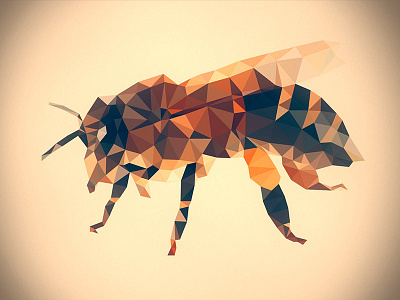 Apis Mellifera animal bee geometry honey insect mesh triangle triangles