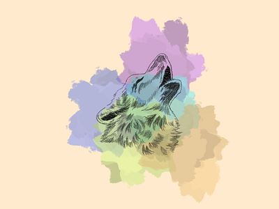 Fox illustration design fox illustration