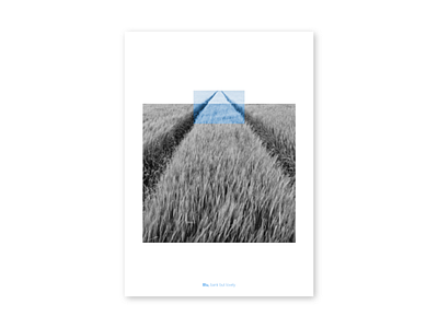 Blue Bank | concept design branding graphic design