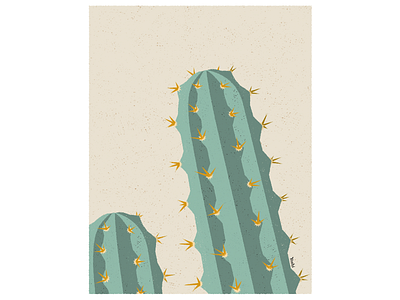 Cactus graphic design illustration