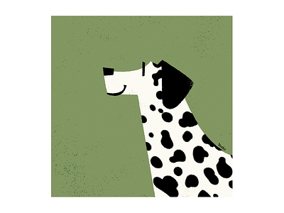 Dalmatian graphic design illustration