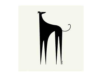 Italian Greyhound