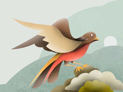 Bird Illustration animals artwork bird bird illustration design drawing graphic illustration texture ui ux vector web