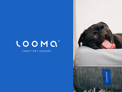 Looma - Craft Pet Houses blue brand identity branding custom logo logo design logotype minimal modern pet product typography