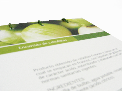 Frutos del Desierto books branding color editorial design magazines photography typography