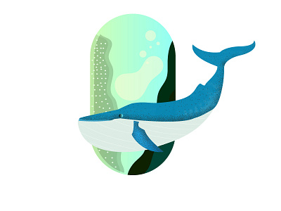 Happy Whale fishes illustration ocean sea life underwater whales