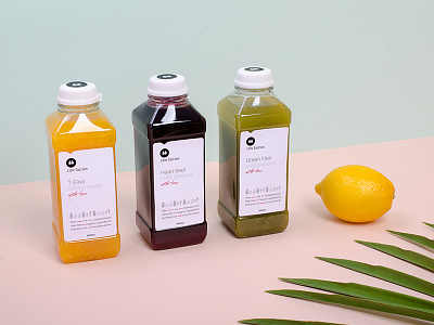 Raw Fairies - packaging and branding beverege bottle cleanse food fresh healthy juice raw