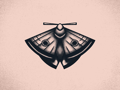 Moth branding fly grit illustration insect light merch moth old school sticker stippling tattoo texture vintage