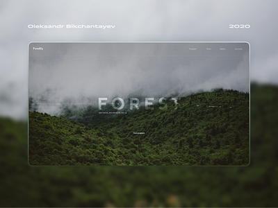 Forest | Travel project 2020 blur cloud desktop figma first screen fog forest green minimalism transparency travel travel agency ui ui design web design