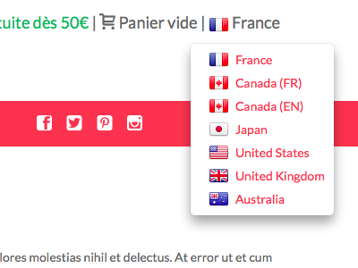 Language switch dropdown flags