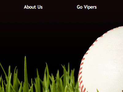 Vipers Fan Site baseball blog fan site sports vipers