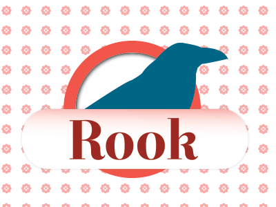 Rook bird cards illustration patterns