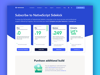 NativeScript.org Pricing design icon web webdesign