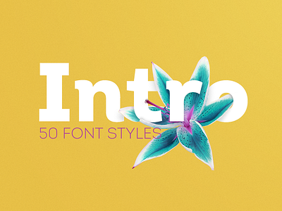 Intro has 50 Styles art creative font fontfabric intro text type typeface typography