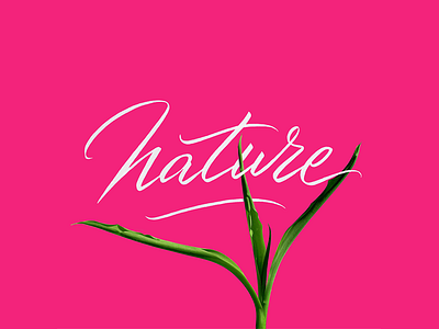 Nature creative design font fontfabric free illustration letter lettering nature type typeface typography