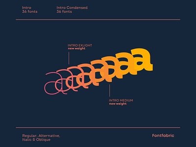 Intro - 72 fonts in one type family creative design font fontfabric illustration intro letter lettering newrelease type typeface typography