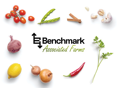 Benchmark Associated Farms abishekshivan branding design designer icon illustration logo minimal typography vector
