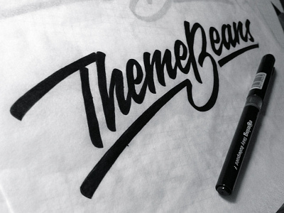 ThemeBeans brand branding brush calligraphy hand writing identity lettering logo logotype pen typography