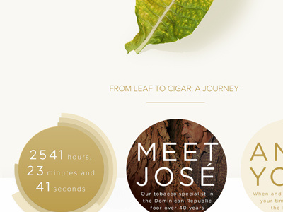 thx for smoking cigar infographic leaf luxury plant time tobacco