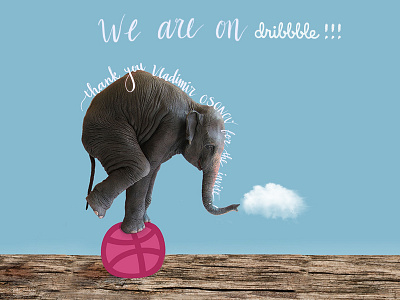 We are on Dribbble!!! cloud dribbble elephant minimalist